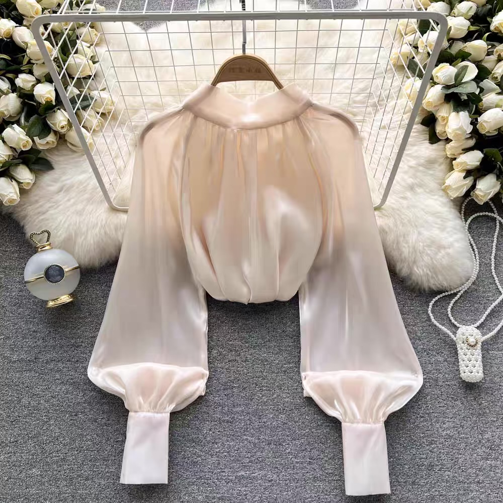 Rough lover sheer top TZZ569 image