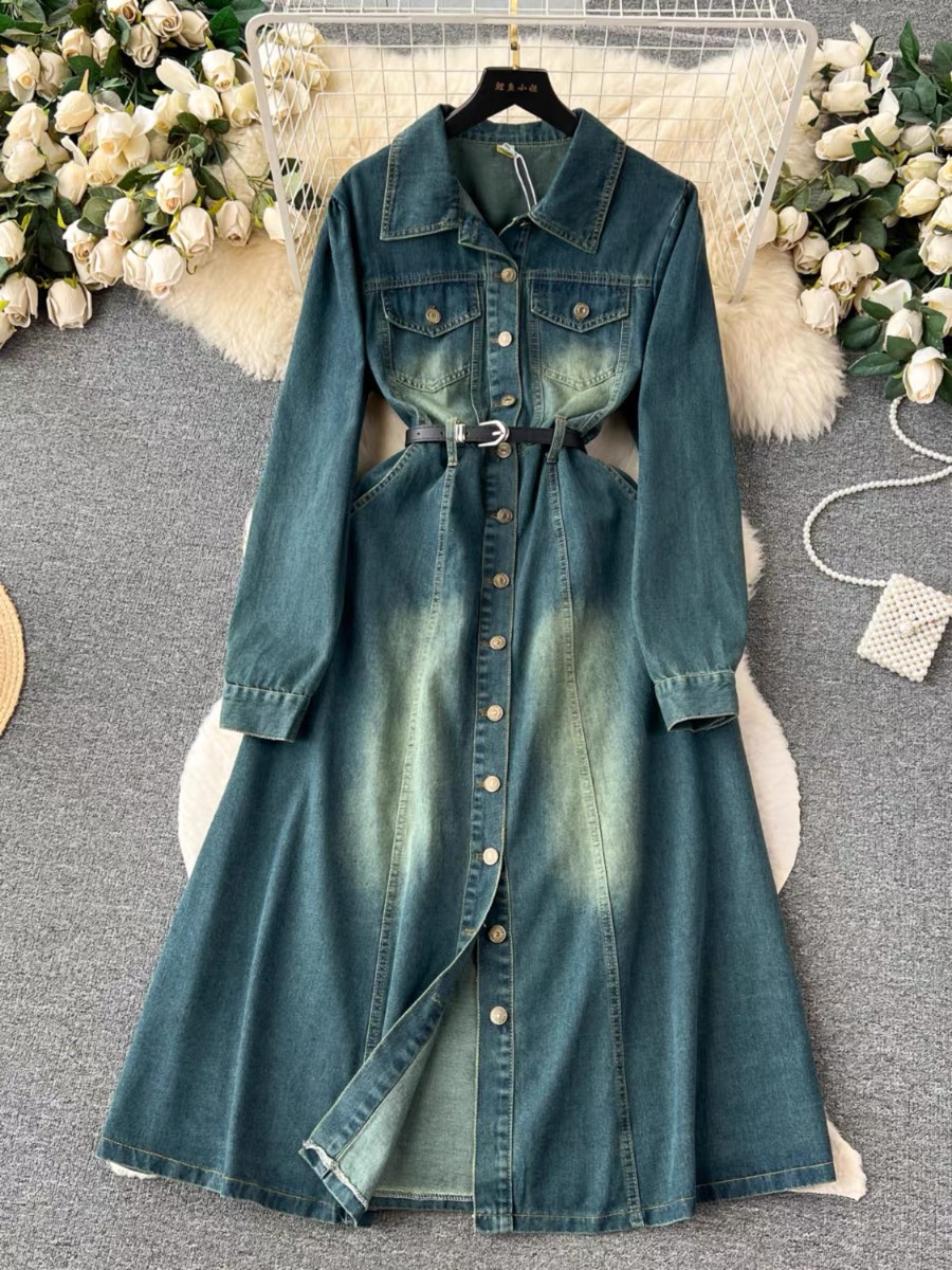 Not in Kansas denim dress & belt DD14