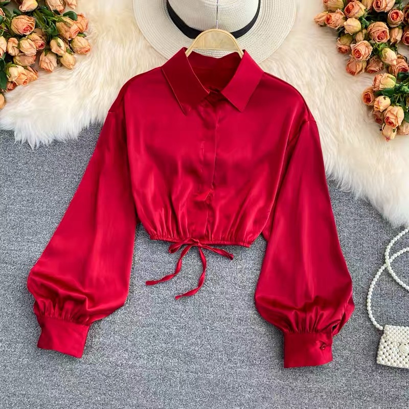 Your favorite silk crop top TZZ299 image