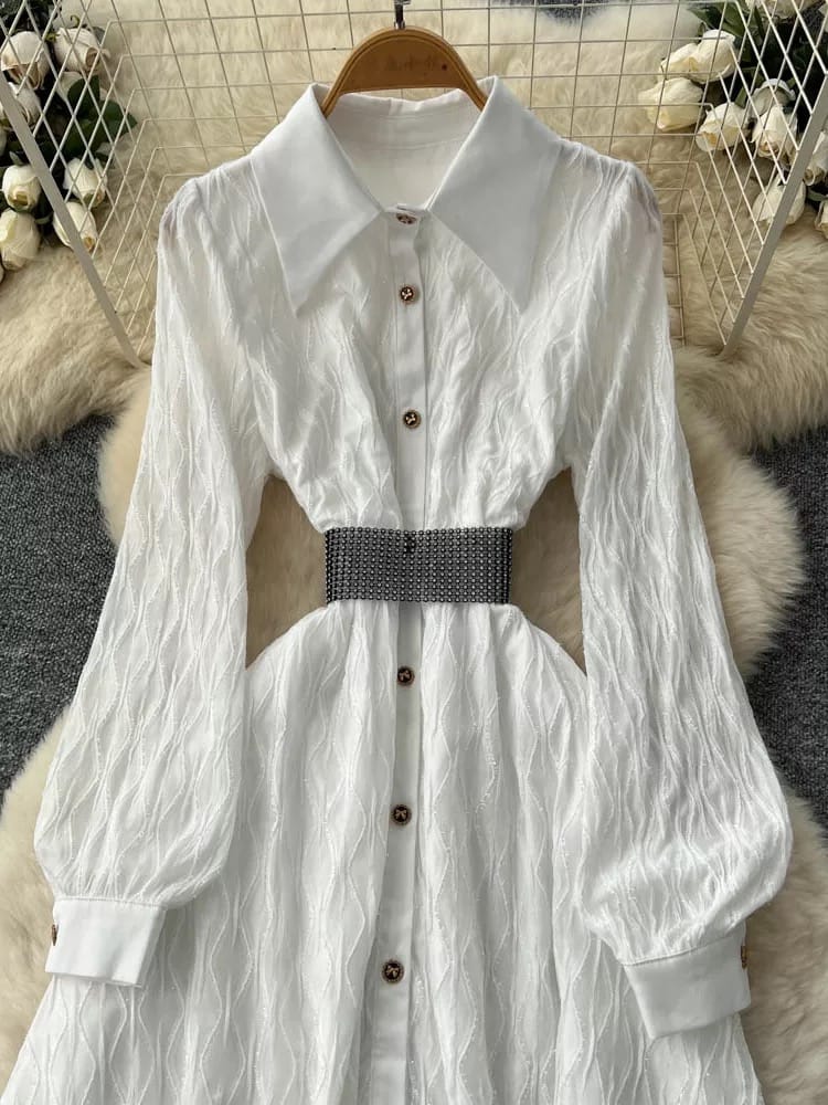 Screaming slay shirt dress & belt  SD166 image