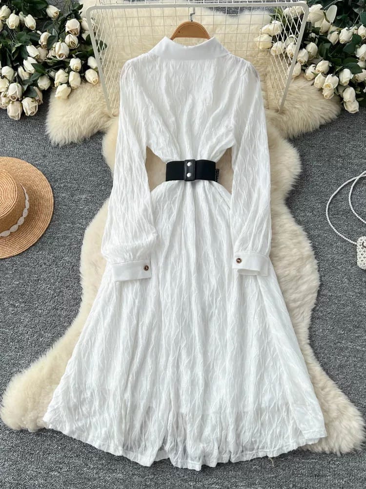 Screaming slay shirt dress & belt  SD166 image