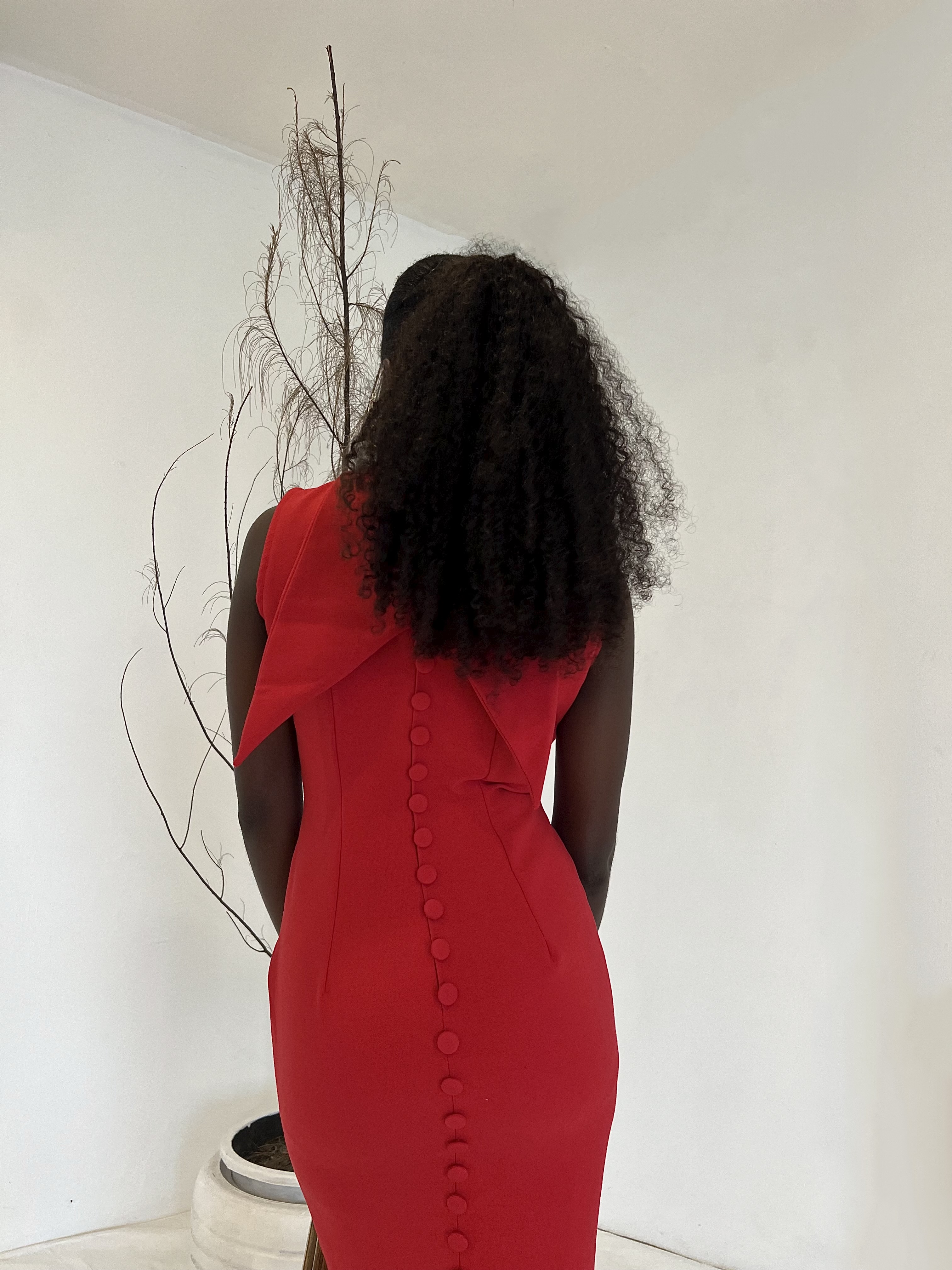 Jenny Dress image